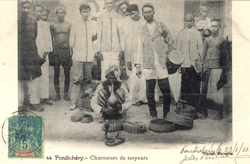 15-14 - Pondichery - charmeur de serpent - 1